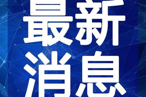 鲁迅最新爆料新闻视频播放,揭秘历史真相，视频播放引发热议